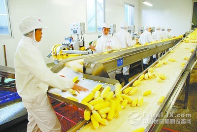 ������ӹ�